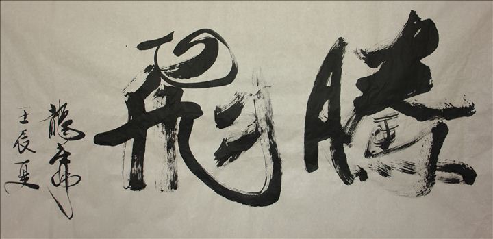 龙省长题词