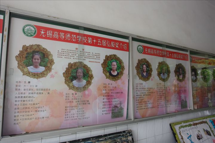学习之星